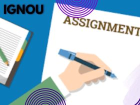 IGNOU Assignment